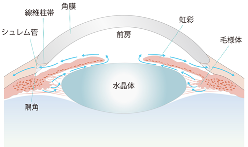 病名から調べる